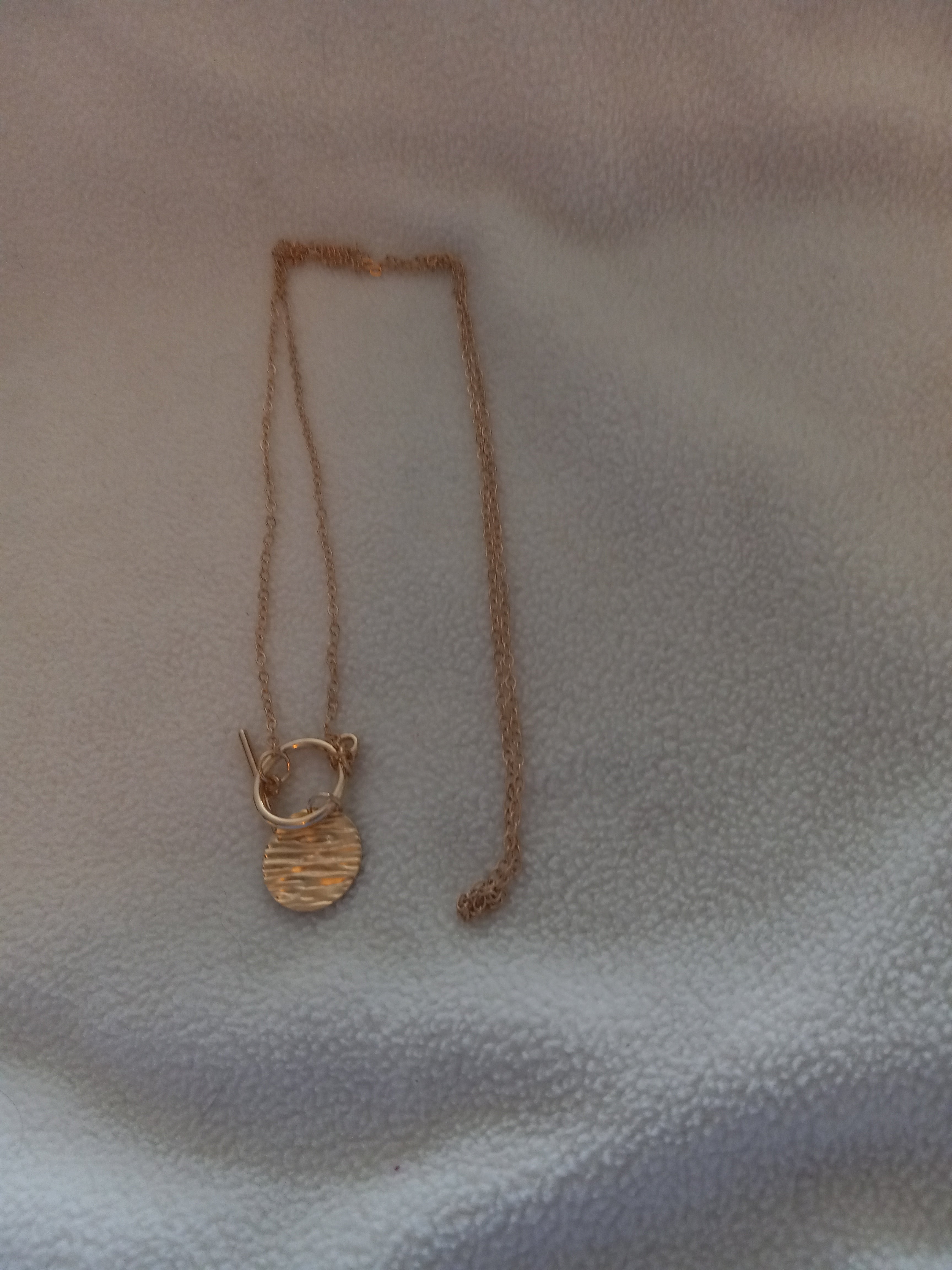 J 28  Dainty Gold Chain With a Gold Disc