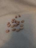 W 10  Lot of 17 Wood 1/2 inch Barrel Beads for Macrame