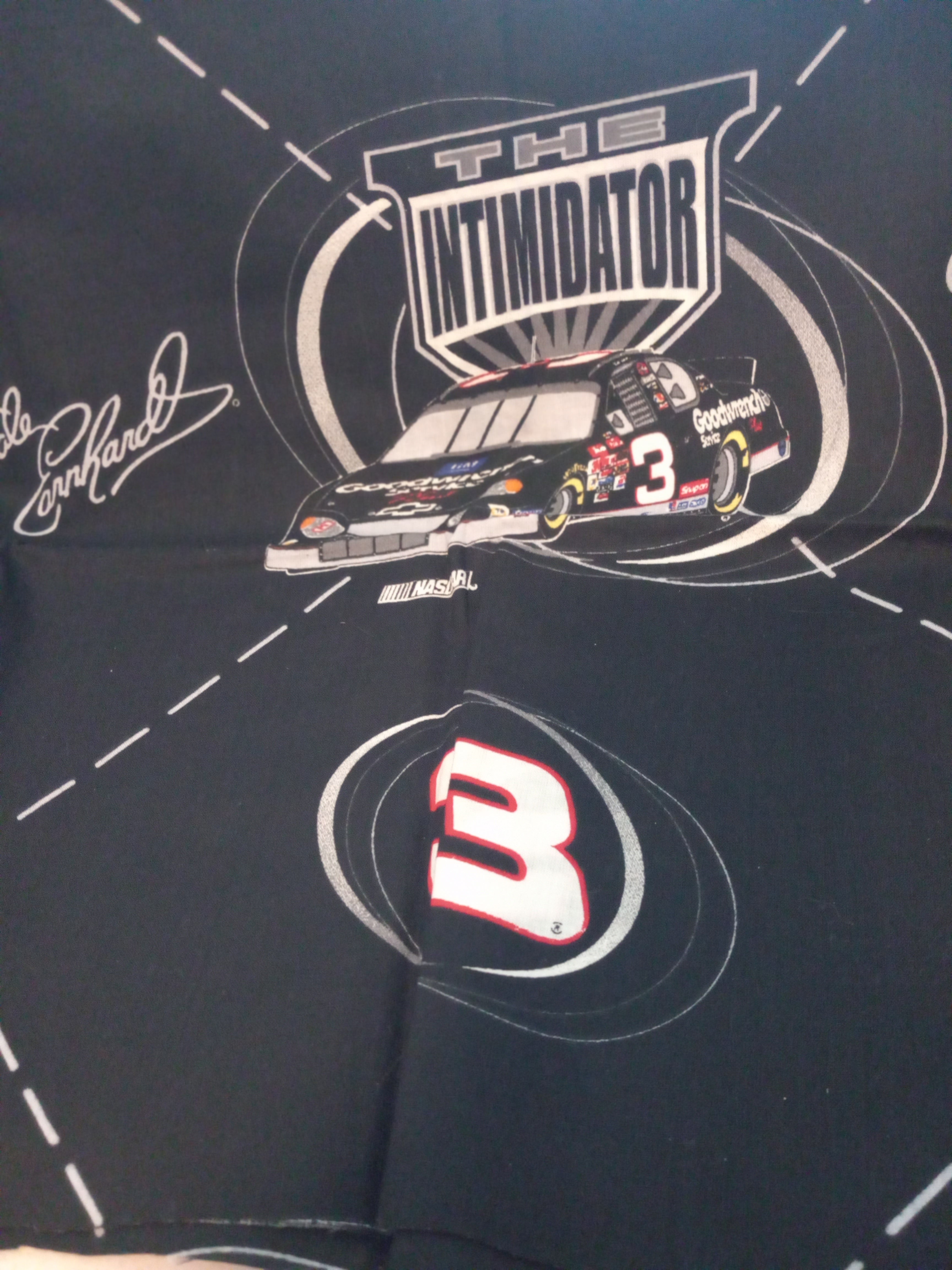 F247  NASCAR Dale Earnhart The Intimidator Fabric