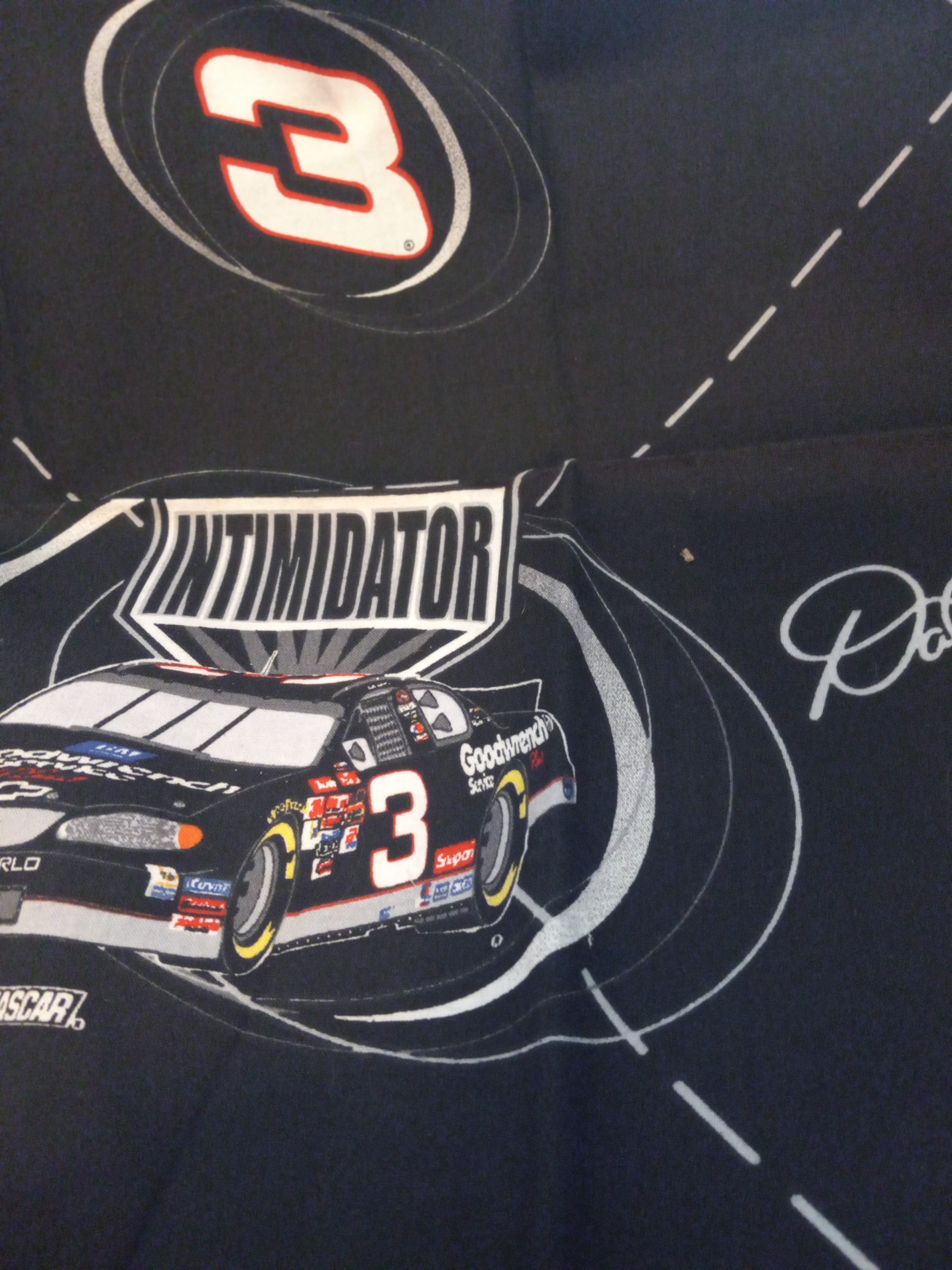 F245  NASCAR Dale Earnhardt Fabric