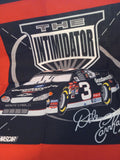 F248  NASCAR Dale Earnhardt The Intimidator Pillow Panel