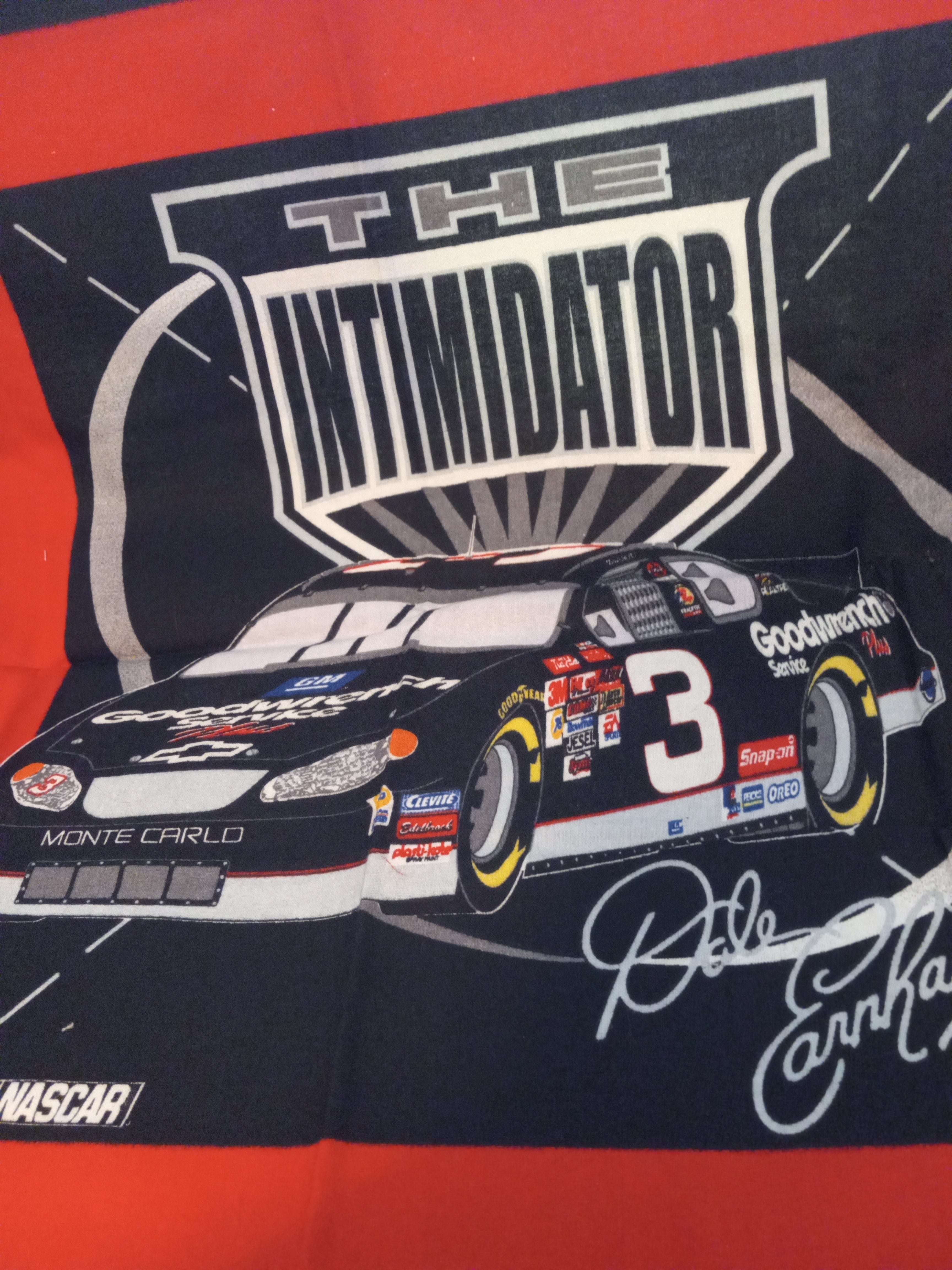 F248  NASCAR Dale Earnhardt The Intimidator Pillow Panel