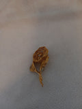 J 265  Gold and Crystal Floral Lapel Pin